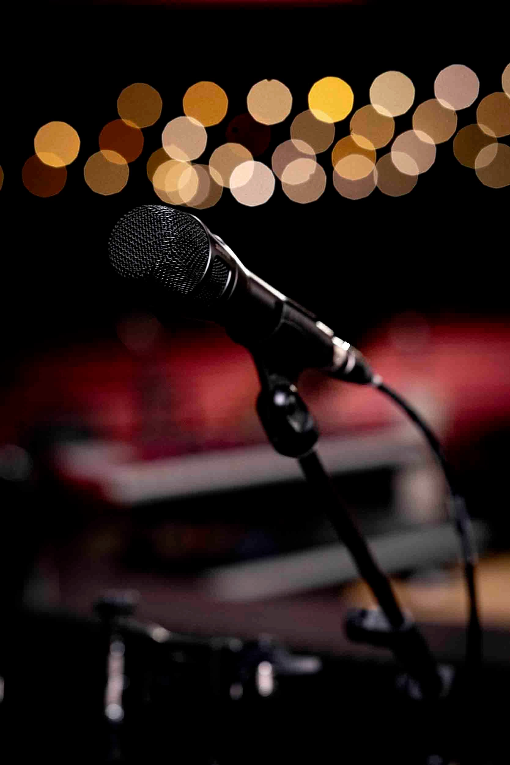 Nexadyne 8/C XLR Microphone