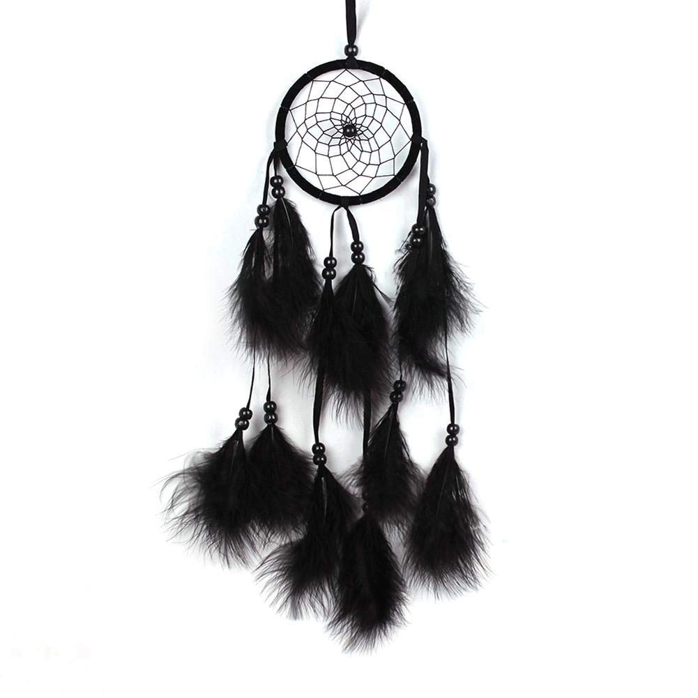 Dreamcatcher - Siderosphere, feathers, lines, wood beads.