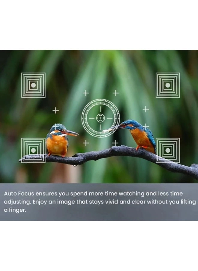 L010 180 lumens 1080p