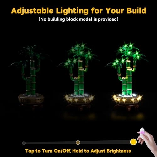 LED Lighting Set - for 10344 5 V USB