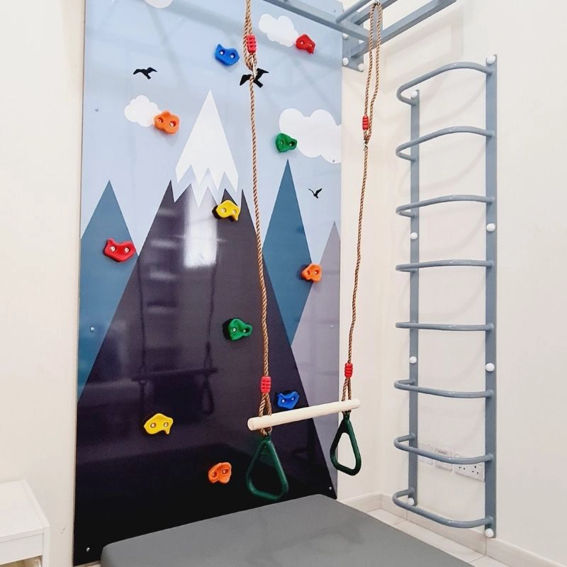Rock Face Climbing Wall with Monkey Bars - 240 x 120 cm Suitable for 3 to 9 yrs