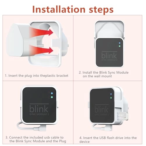 USB Flash Drive + Outlet Mount + Short USB Cable 256GB