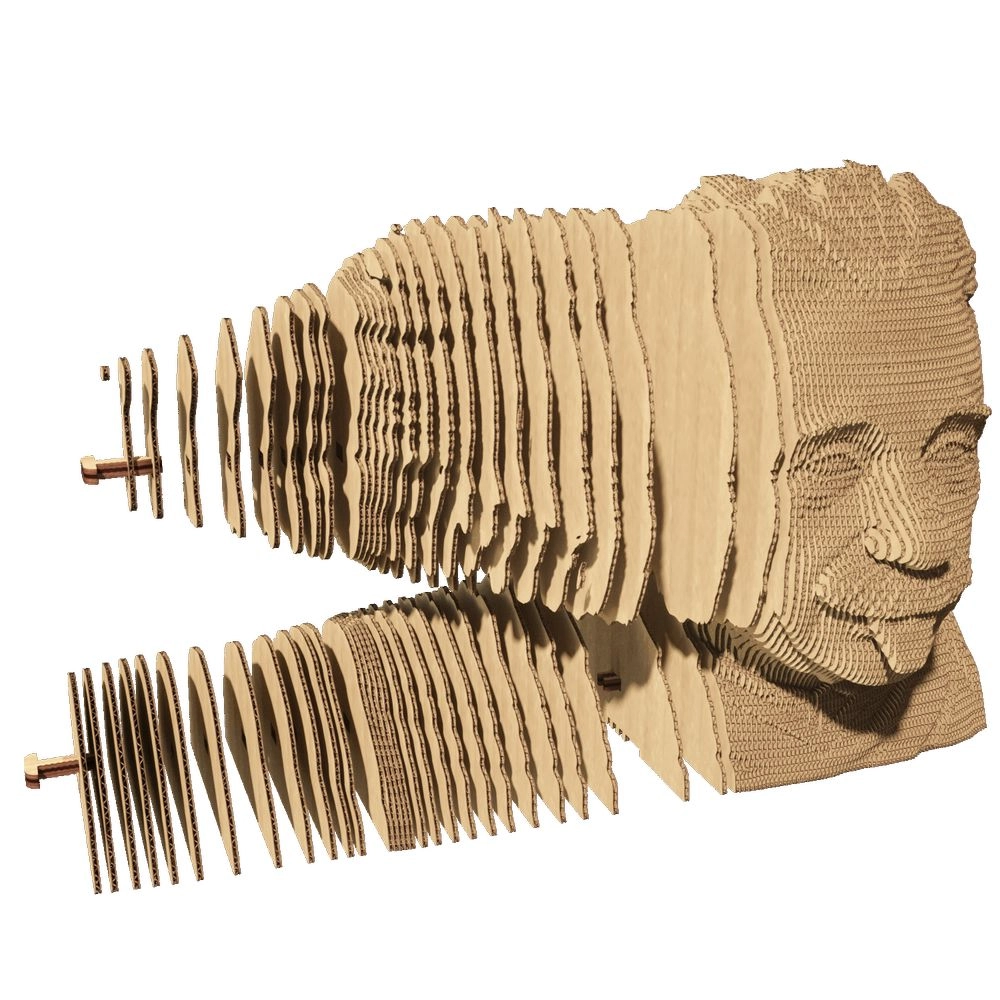 Albert Einstein 3D Puzzle (CARTMALB) - 172 pcs