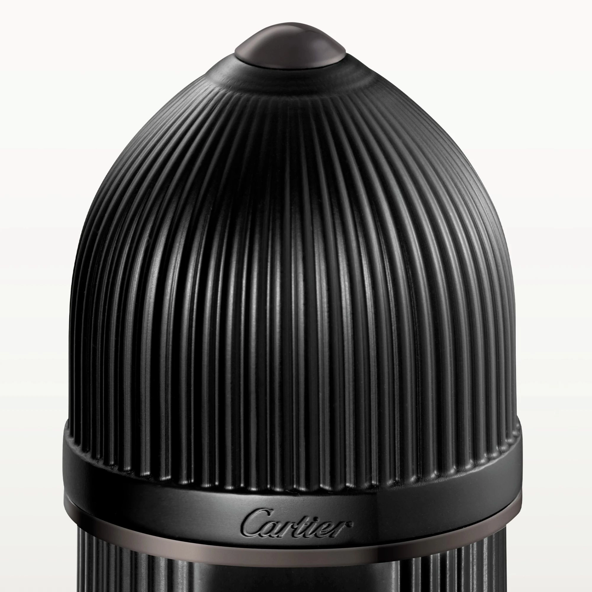 Pasha Eau de Parfum - 100 ml