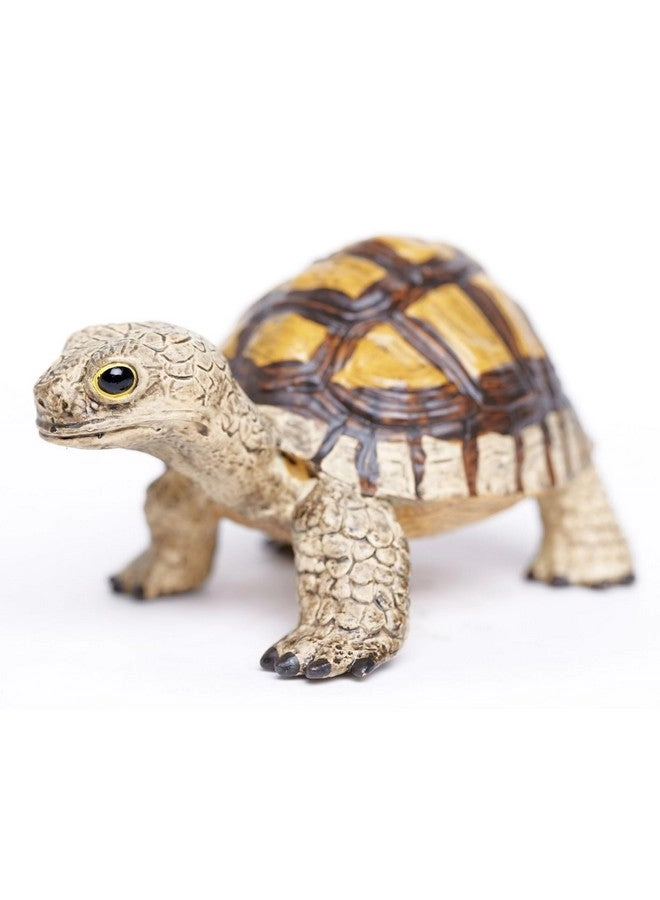 Incredible Creatures - Tortoise