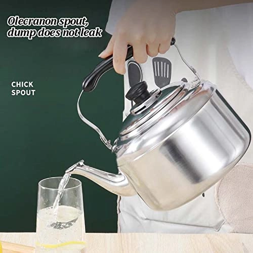 Stovetop Induction Whistling Kettle - 5L