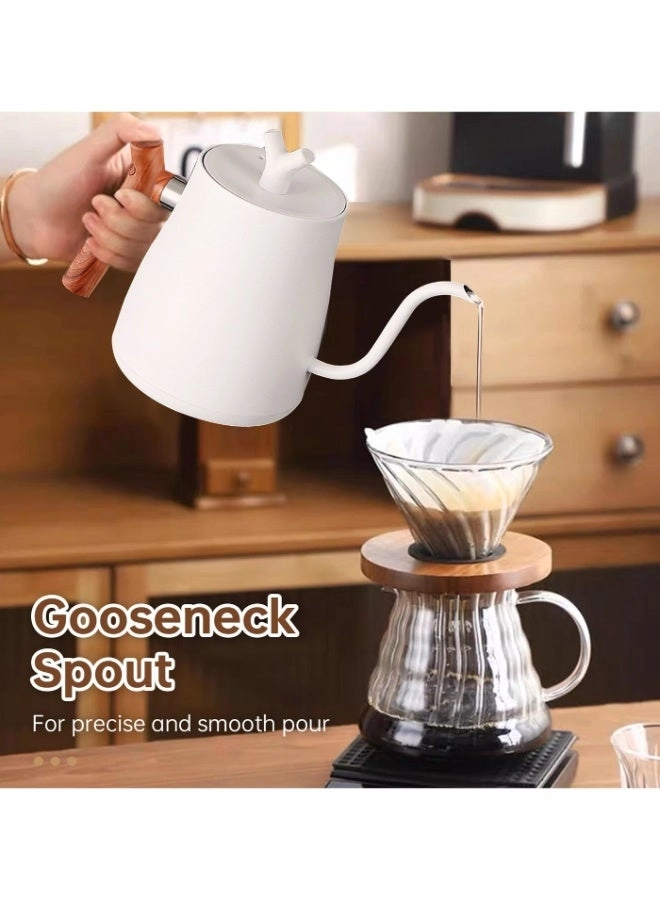 Gooseneck Stainless Electric Kettle