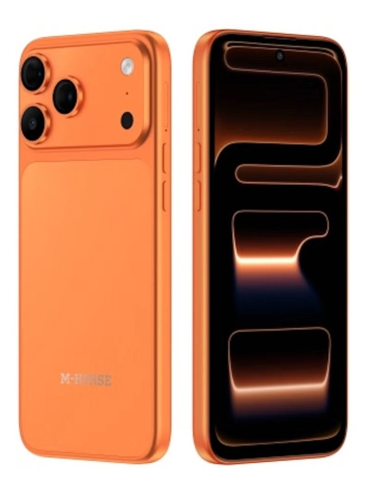 17 pro max 12GB 256GB
