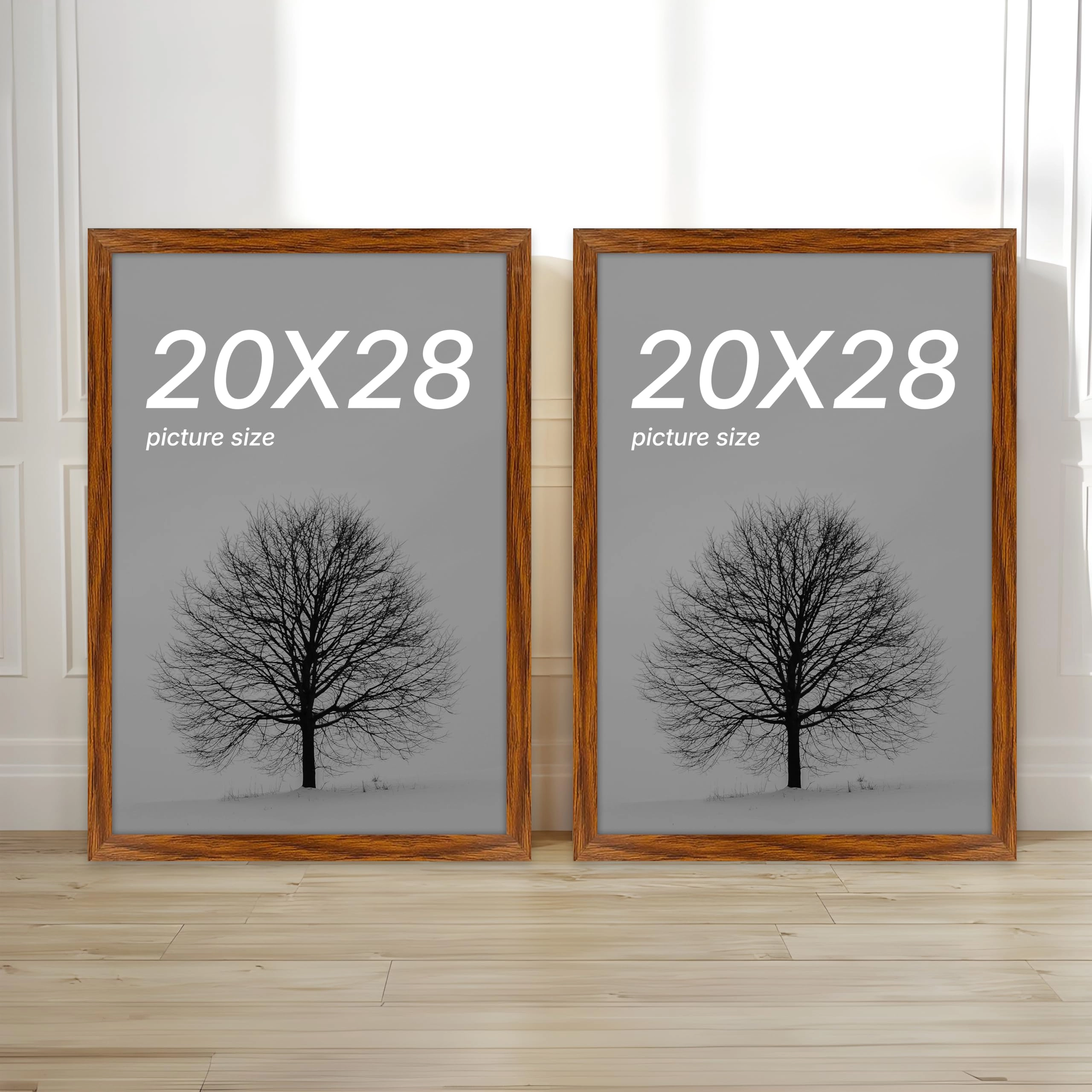 Document Frame - 20x28 Inch 2 Set