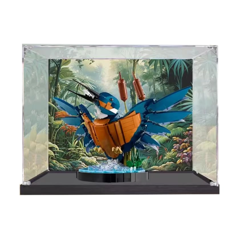 HCAEIOFJ Display Case (10331) - Clear Acrylic Black Bottom+background