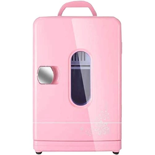 Portable Mini Refrigerator - 12V 220V