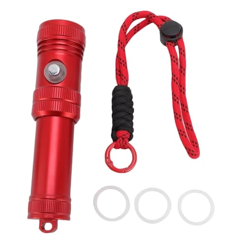 1200 Luminous Flux Dive Light - 50 m Black