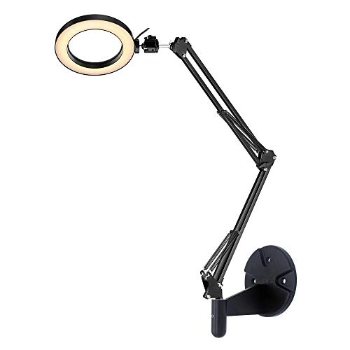 Wall Mount Light - 6"