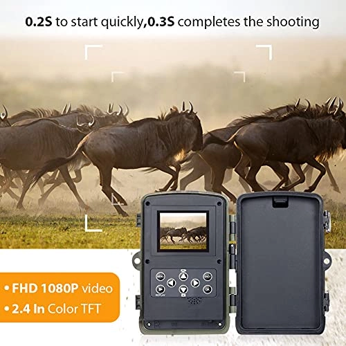 Hunting Trail Camera - 5 megapixel
