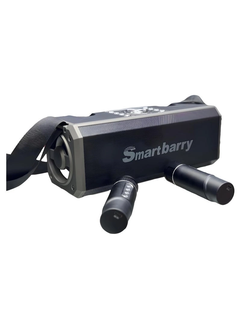 M28 - 2 Microphones
