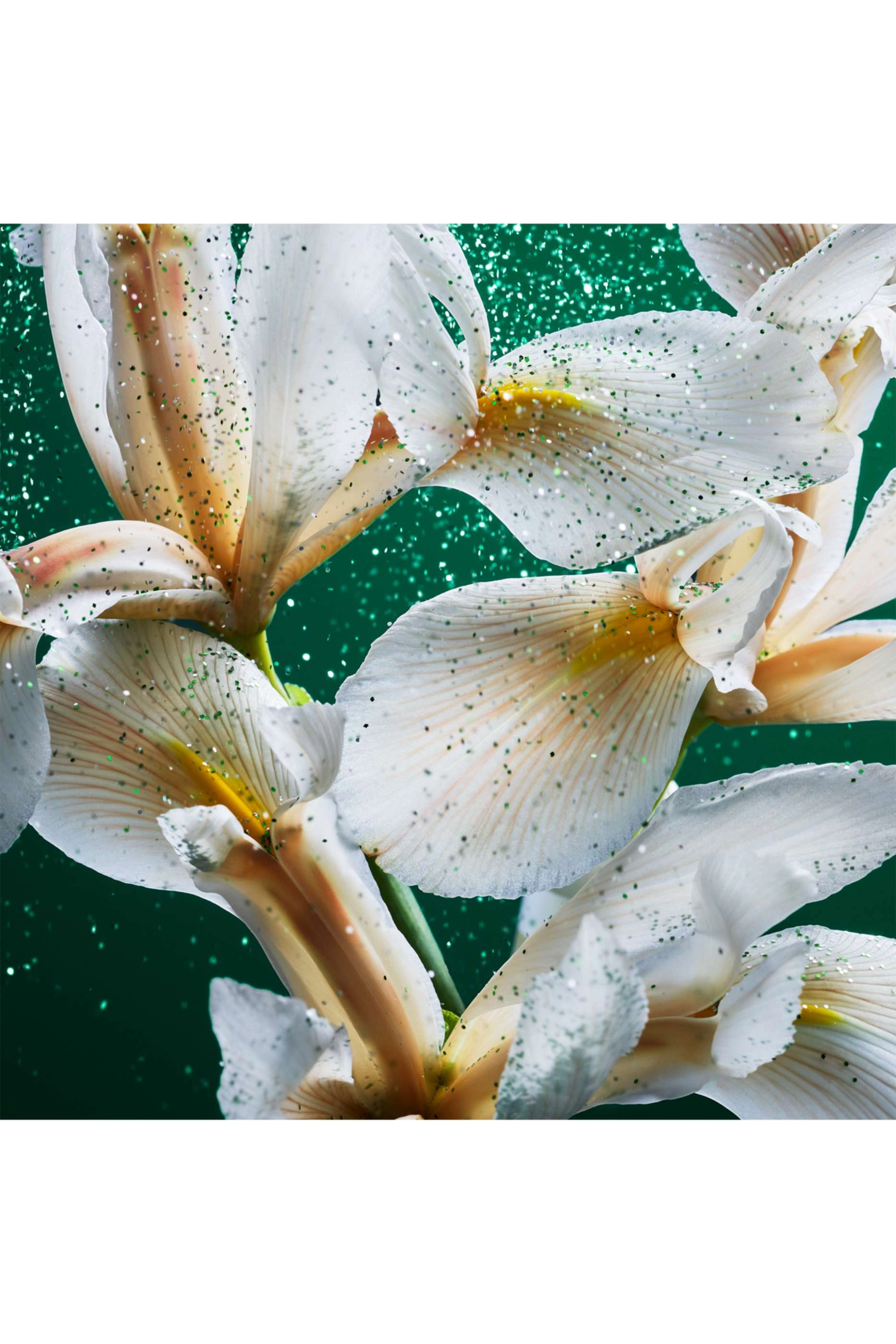 Confidential Emerald Musk Eau de Parfum 100ml