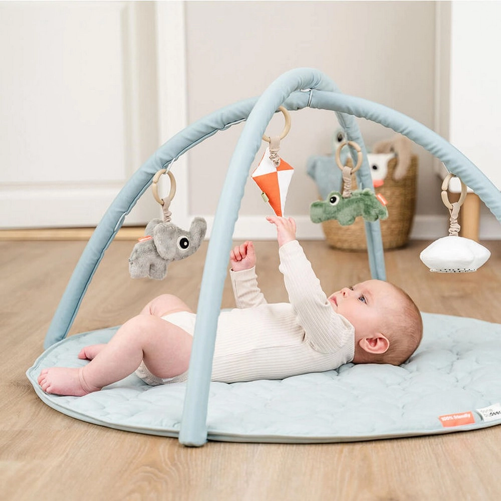 Activity Play Mat - Playground 0 month