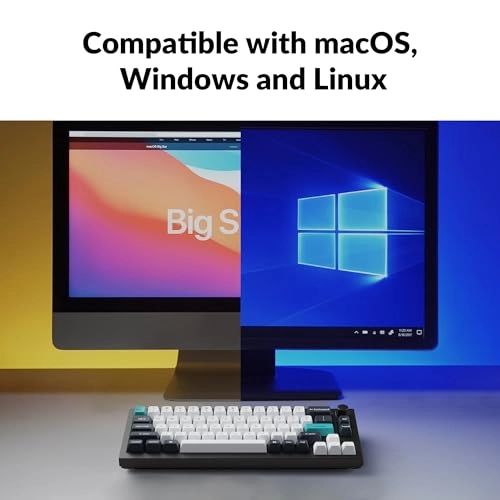 Q2 Max - Wired/Wireless