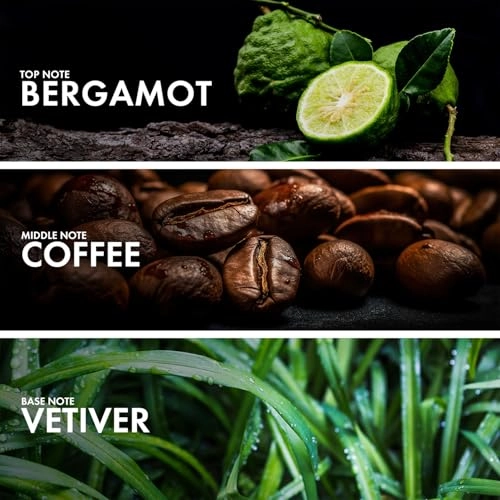 BERGAMOT VETIVER Eau de Parfum 50ml