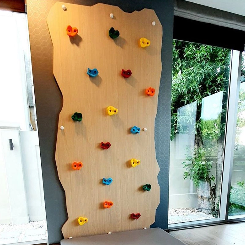 Climbing Wall - 1 Panel Natural Wood