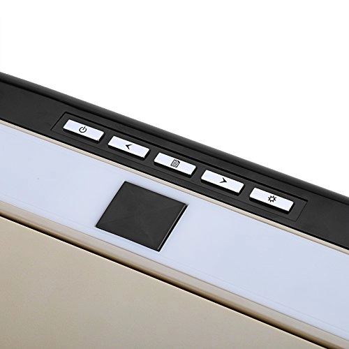 Roof Monitor - 17.3 Inches