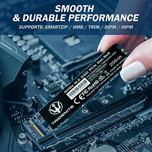 NVMe PCIe Gen 3x4 Internal Solid State Drive (SSD) - 256 GB M.2 2280