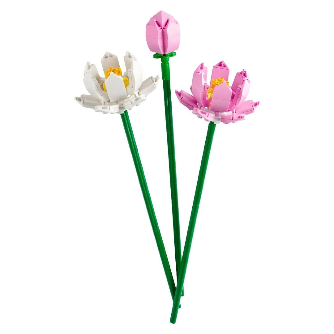 COLOR LAND CHILDRENS TOYS CENTER LLC Lotus Flowers (40647)