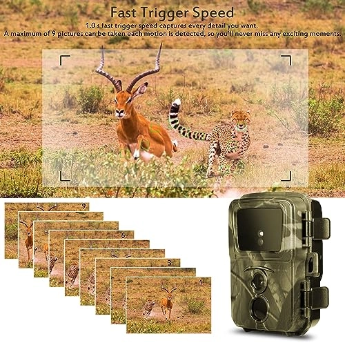 Hunting Camera - 12MP