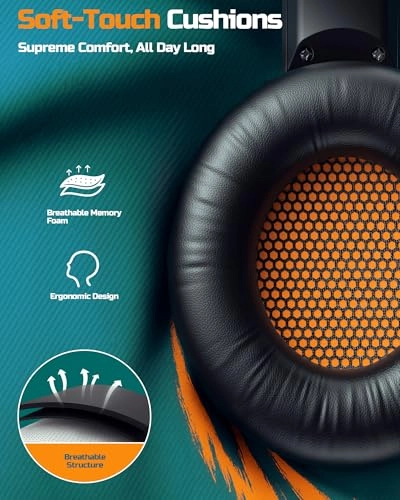 BW02-BT Wireless Headset