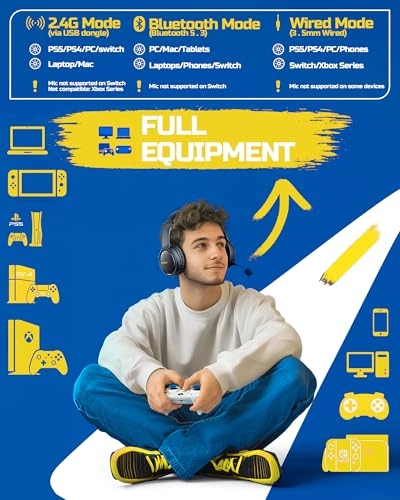 BW02-BT Wireless Headset