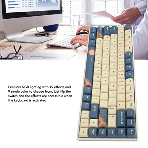 84 Key Mechanical Keyboard - RF