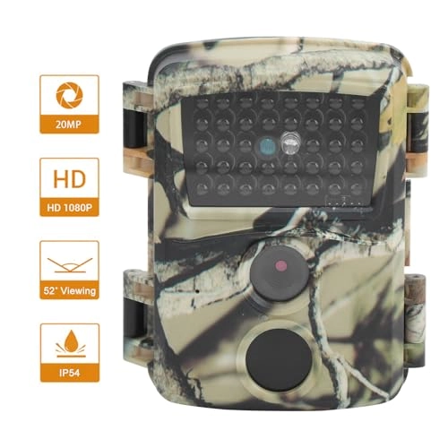 PR600C - 1920x1080P 25FPS