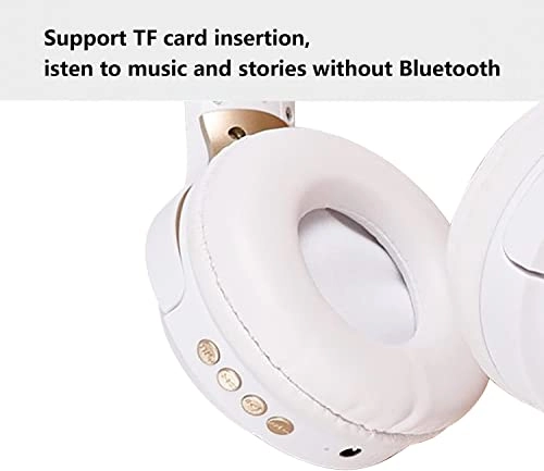 8786 Wireless Headphone