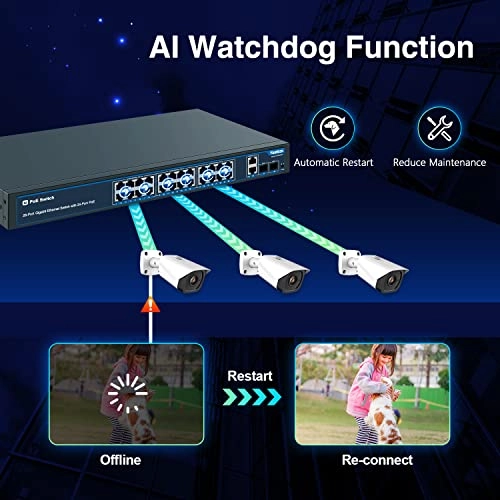 Ethernet Switch 24-Ports