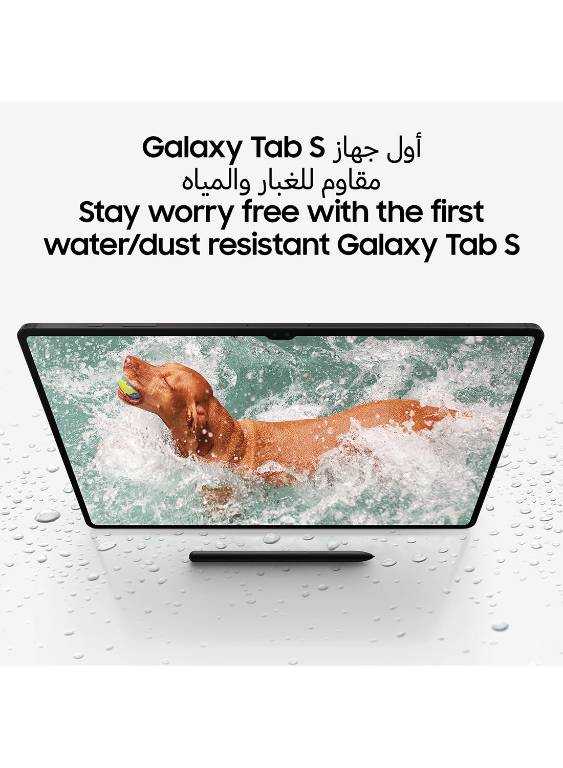 Galaxy Tab S9 - 256GB 11"