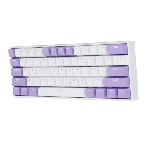 61 Key Mechanical Keyboard - Wired/Wireless