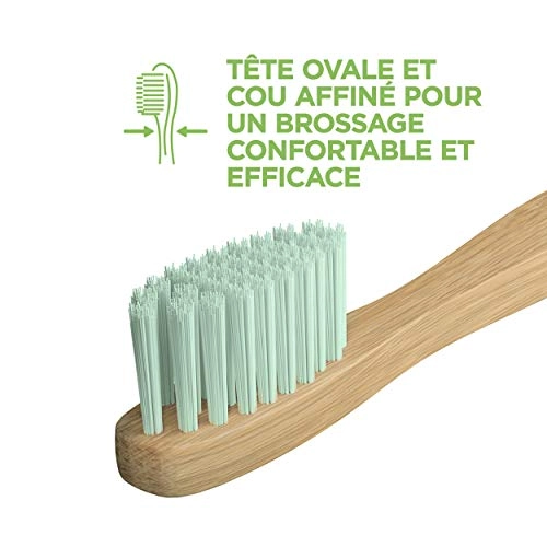Manual Toothbrush - Medium