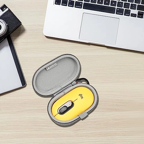 Carrying Case - Wireless