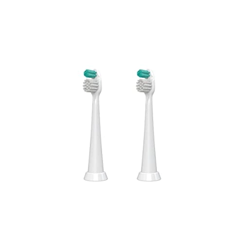 tao clean Orthodontic Head - 2-Pack