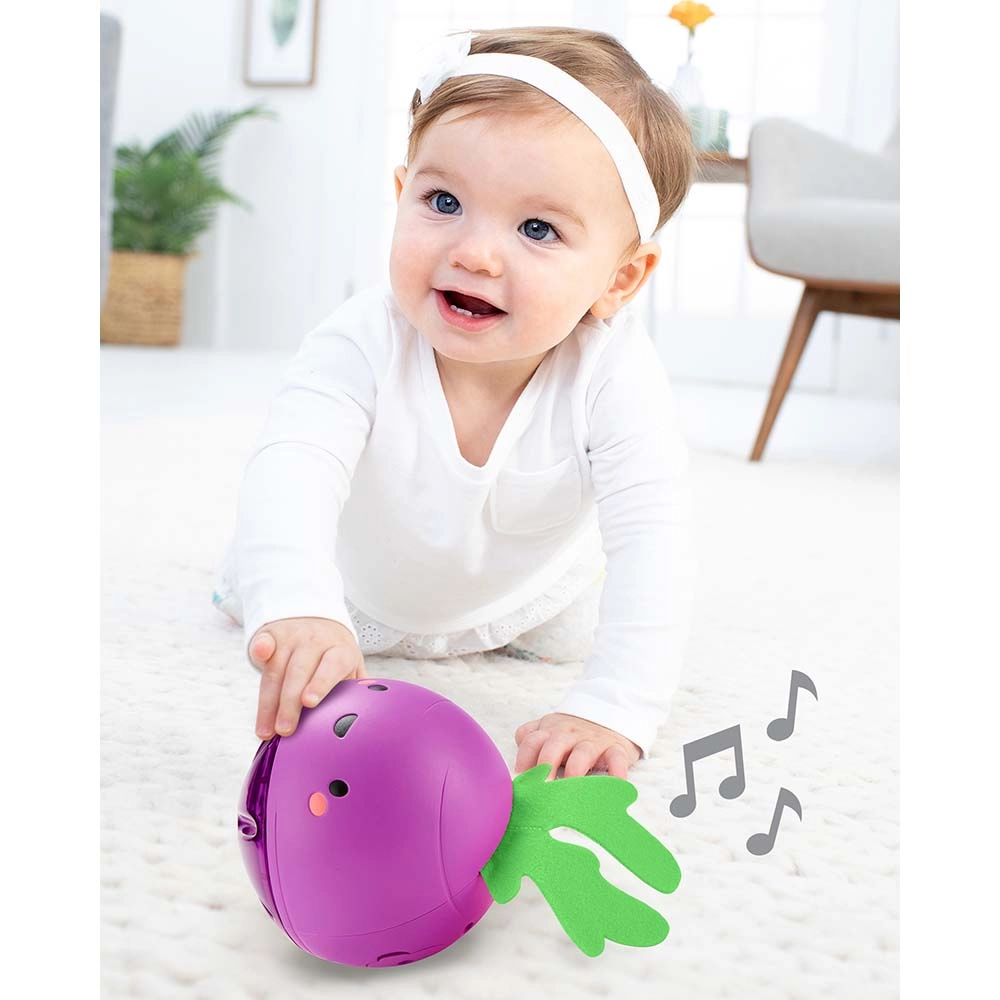 Farmstand Beetbox - 6 months