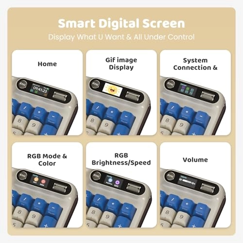 Z98 - Wired/Wireless
