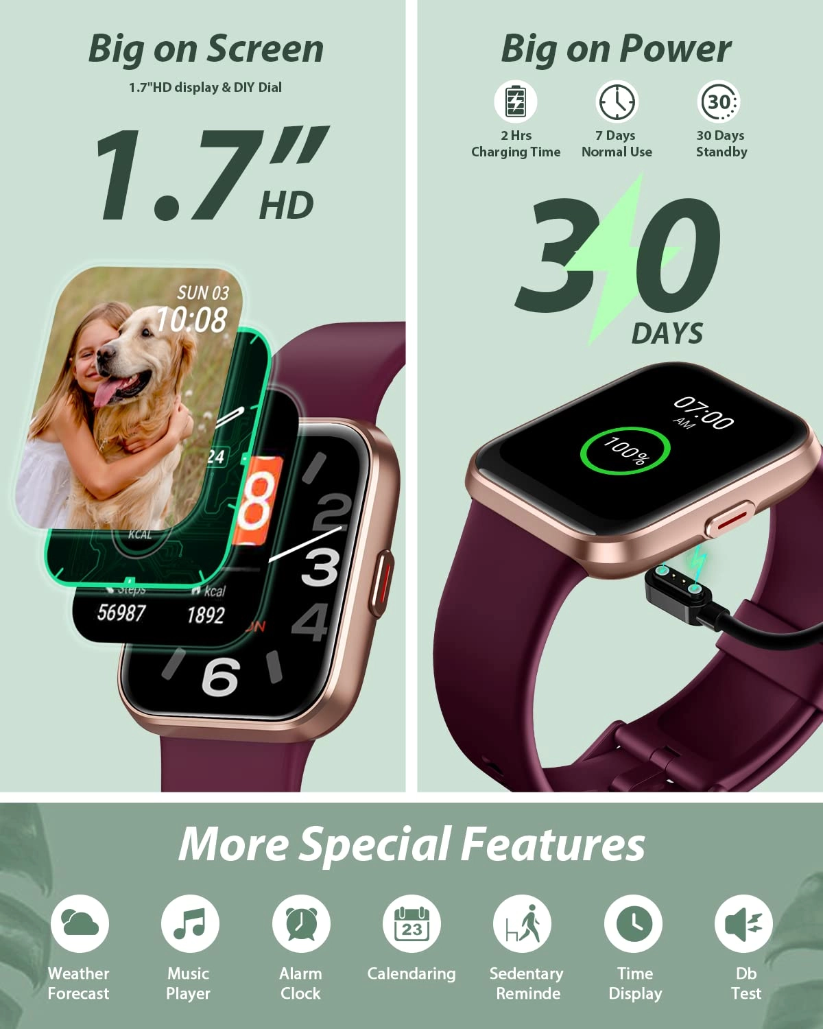 ID208Plus
