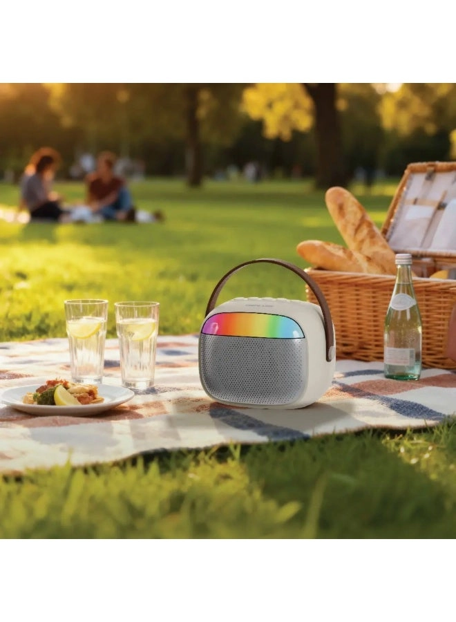 2 in 1 Karaoke Speaker - 2 5 Watt