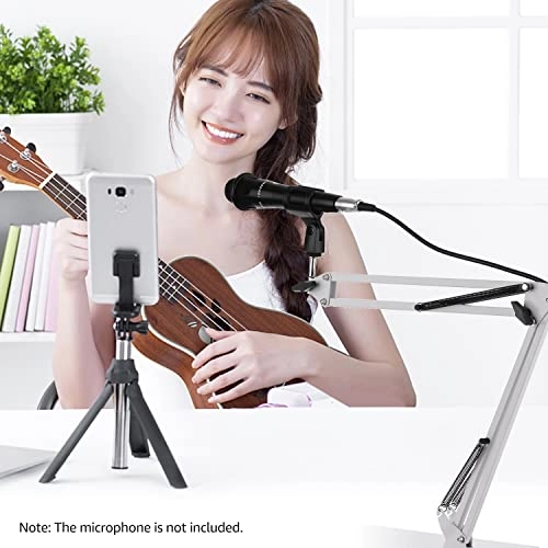 Exble Arm - Microphone Stand Table Clamp 35cm 4000g