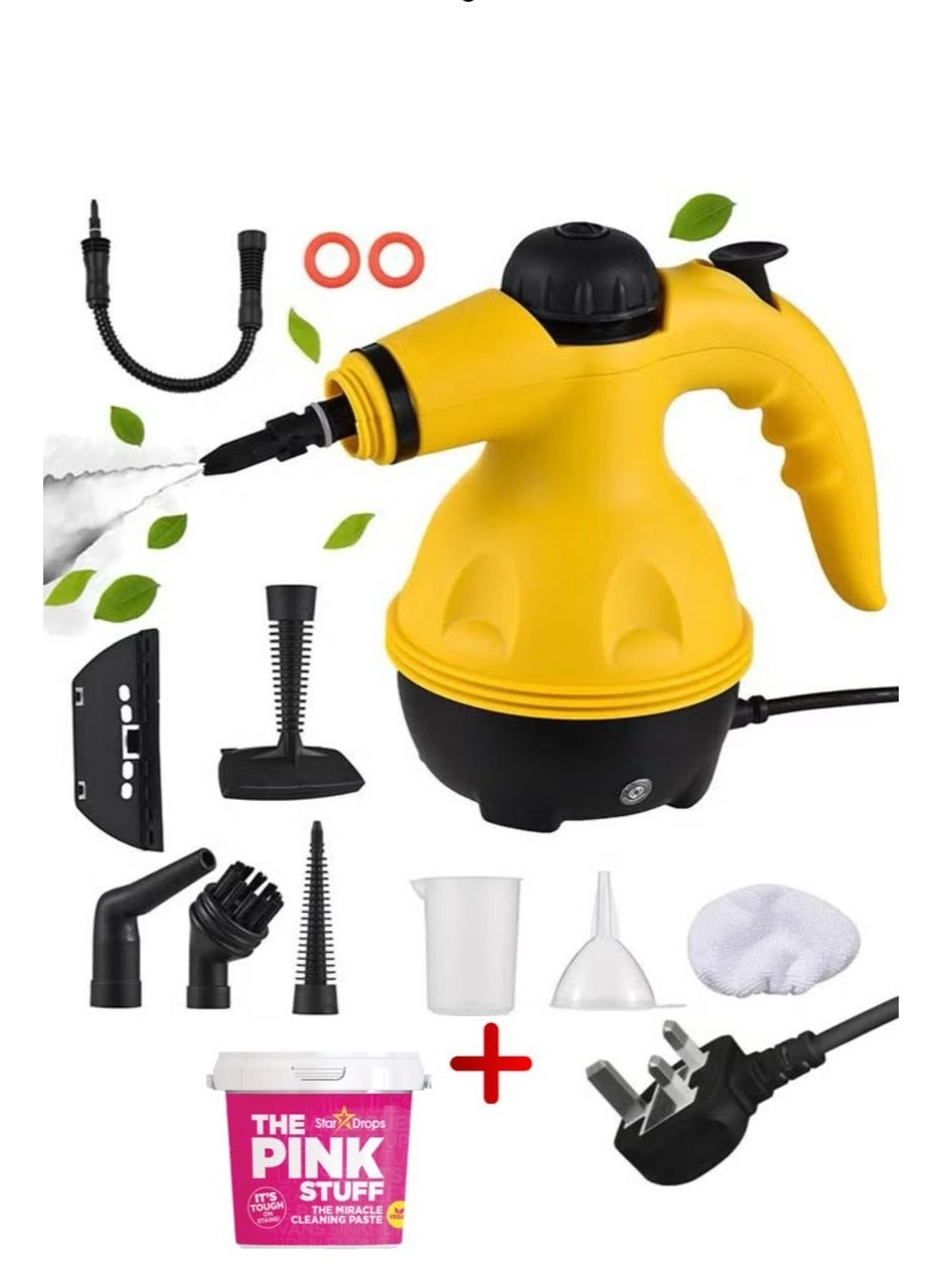 Steam Cleaner Gift