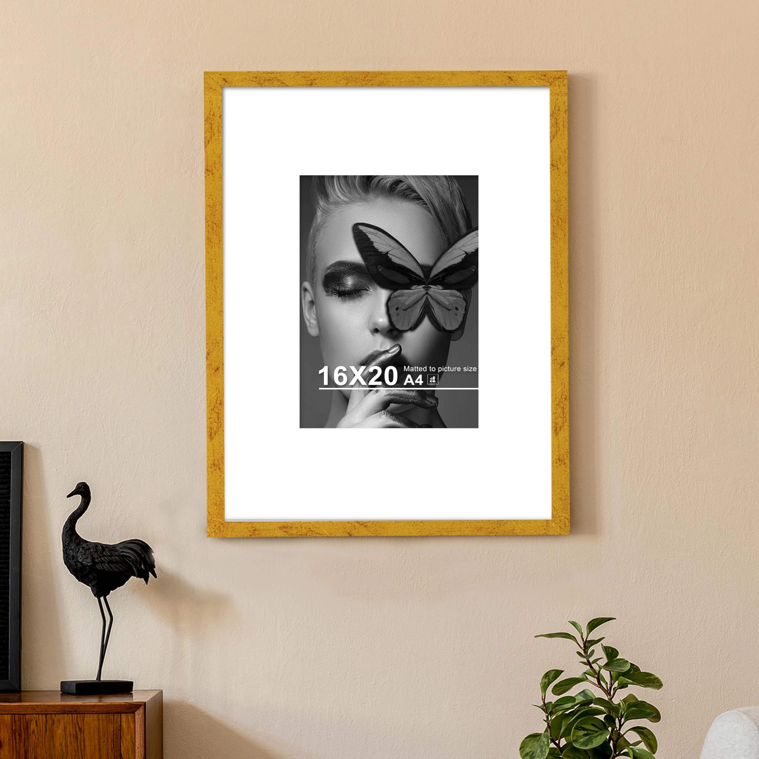 Document Frame - 16x20 Inch