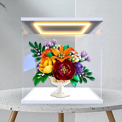 Acrylic Display Case - Acrylic