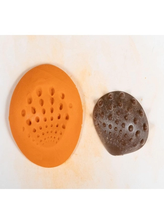 Tactile Shells - Ages 18m+ 36 Pieces