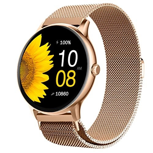 Fire-Boltt Phoenix Ultra Stainless Steel