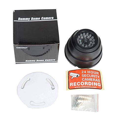 Dome Dummy - Wall or Ceiling